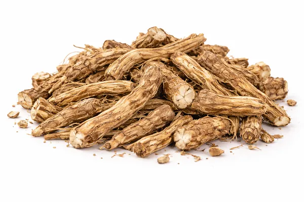 Castor_Root_Arandi_Whole_Ricinus_Communis